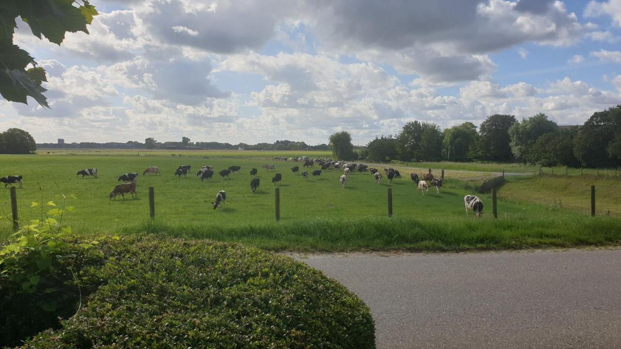 Little Get-A-Way Hellevoetsluis Hotel ห้อง รูปภาพ